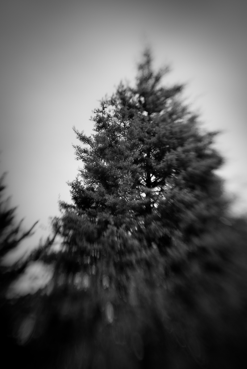 Illustration for article titled Shooting Challenge: Gray Winter